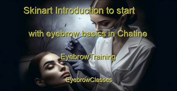 Skinart Introduction to start with eyebrow basics in Chatine | EyebrowTraining | EyebrowClasses | SkinartTraining-Lebanon