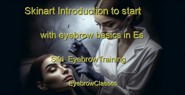 Skinart Introduction to start with eyebrow basics in Es Sifri | EyebrowTraining | EyebrowClasses | SkinartTraining-Lebanon