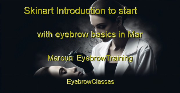 Skinart Introduction to start with eyebrow basics in Mar Maroun | EyebrowTraining | EyebrowClasses | SkinartTraining-Lebanon