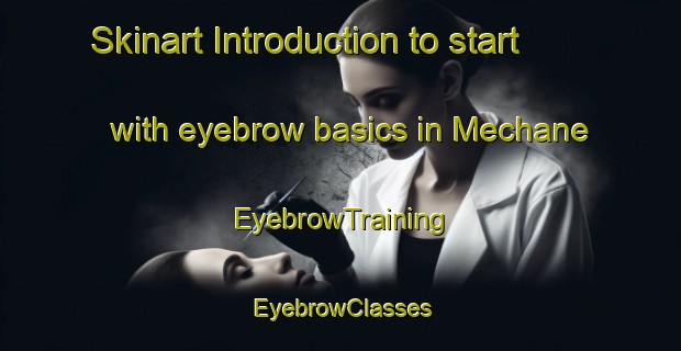 Skinart Introduction to start with eyebrow basics in Mechane | EyebrowTraining | EyebrowClasses | SkinartTraining-Lebanon