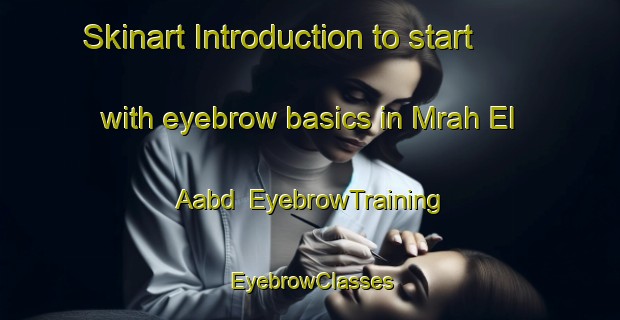 Skinart Introduction to start with eyebrow basics in Mrah El Aabd | EyebrowTraining | EyebrowClasses | SkinartTraining-Lebanon