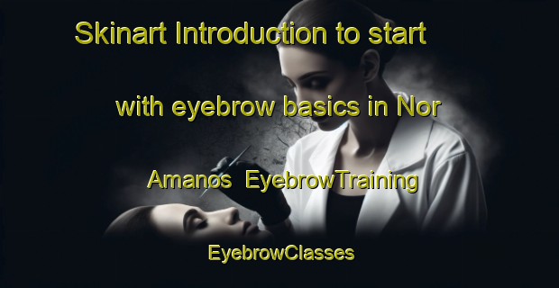 Skinart Introduction to start with eyebrow basics in Nor Amanos | EyebrowTraining | EyebrowClasses | SkinartTraining-Lebanon