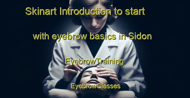 Skinart Introduction to start with eyebrow basics in Sidon | EyebrowTraining | EyebrowClasses | SkinartTraining-Lebanon