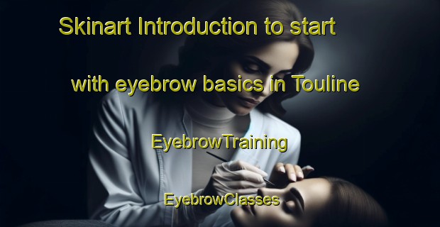 Skinart Introduction to start with eyebrow basics in Touline | EyebrowTraining | EyebrowClasses | SkinartTraining-Lebanon