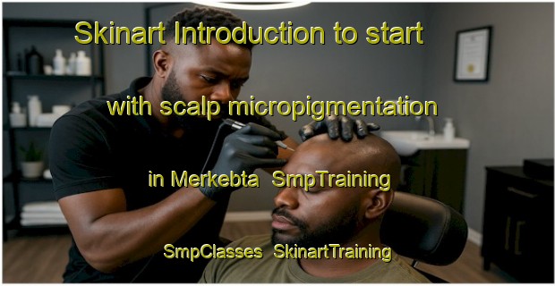 Skinart Introduction to start with scalp micropigmentation in Merkebta | SmpTraining | SmpClasses | SkinartTraining-Lebanon
