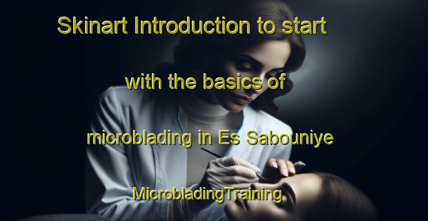 Skinart Introduction to start with the basics of microblading in Es Sabouniye | MicrobladingTraining | MicrobladingClasses | SkinartTraining-Lebanon