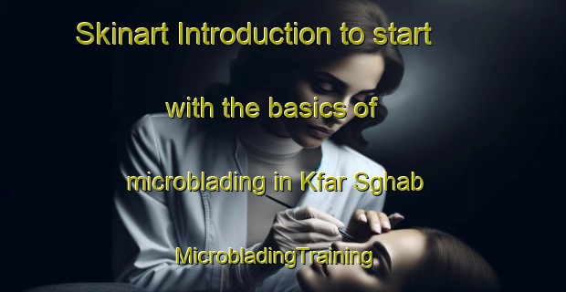Skinart Introduction to start with the basics of microblading in Kfar Sghab | MicrobladingTraining | MicrobladingClasses | SkinartTraining-Lebanon