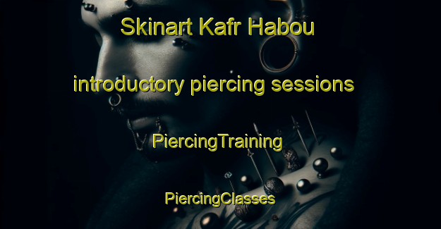 Skinart Kafr Habou introductory piercing sessions | #PiercingTraining #PiercingClasses #SkinartTraining-Lebanon