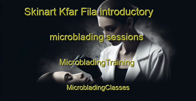 Skinart Kfar Fila introductory microblading sessions | #MicrobladingTraining #MicrobladingClasses #SkinartTraining-Lebanon