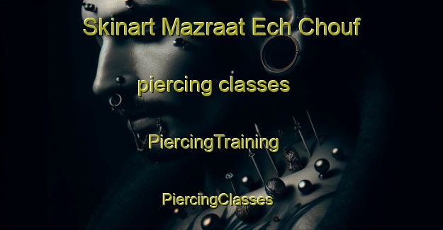 Skinart Mazraat Ech Chouf piercing classes | PiercingTraining | PiercingClasses | SkinartTraining-Lebanon