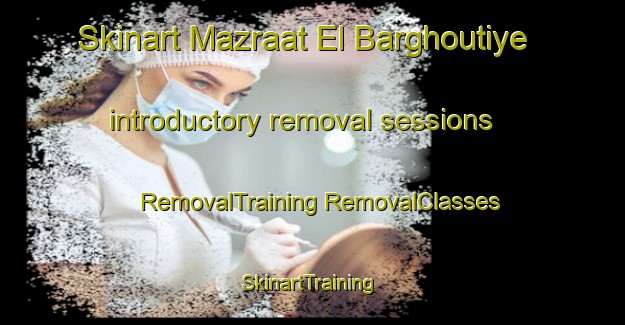 Skinart Mazraat El Barghoutiye introductory removal sessions | #RemovalTraining #RemovalClasses #SkinartTraining-Lebanon