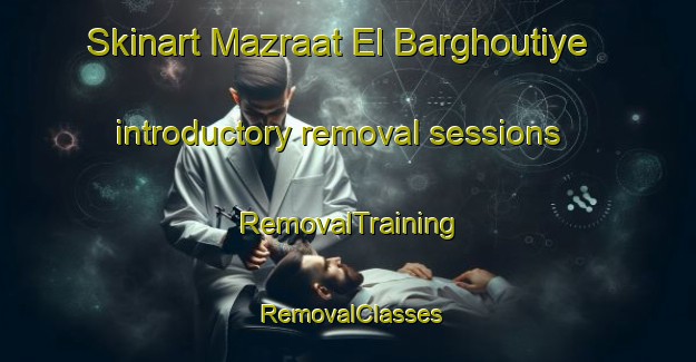 Skinart Mazraat El Barghoutiye introductory removal sessions | RemovalTraining | RemovalClasses | SkinartTraining-Lebanon