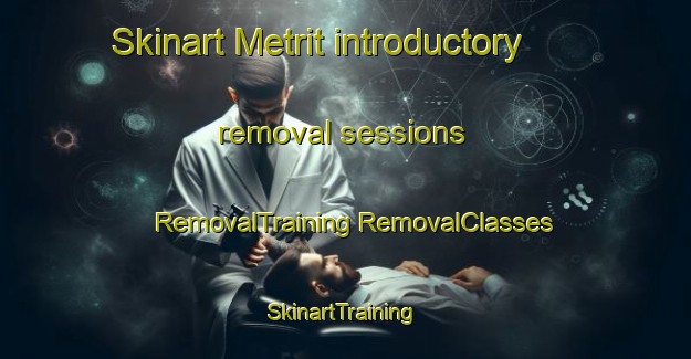 Skinart Metrit introductory removal sessions | #RemovalTraining #RemovalClasses #SkinartTraining-Lebanon