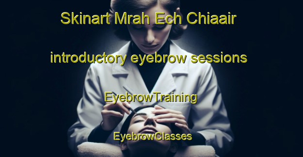 Skinart Mrah Ech Chiaair introductory eyebrow sessions | EyebrowTraining | EyebrowClasses | SkinartTraining-Lebanon