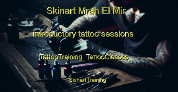 Skinart Mrah El Mir introductory tattoo sessions | TattooTraining | TattooClasses | SkinartTraining-Lebanon