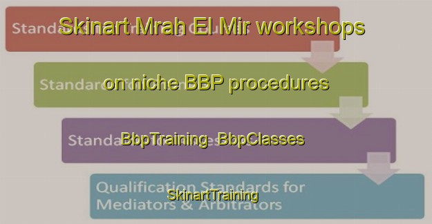 Skinart Mrah El Mir workshops on niche BBP procedures | BbpTraining | BbpClasses | SkinartTraining-Lebanon