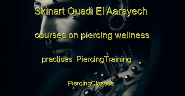 Skinart Ouadi El Aarayech courses on piercing wellness practices | PiercingTraining | PiercingClasses | SkinartTraining-Lebanon