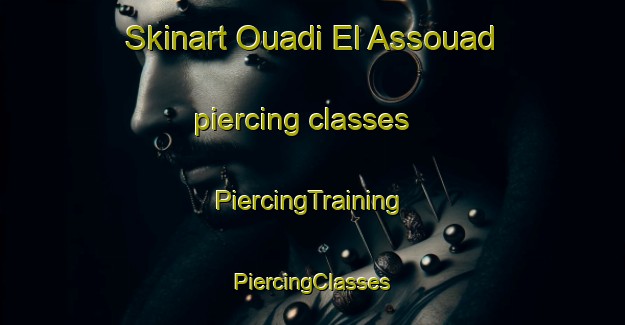 Skinart Ouadi El Assouad piercing classes | #PiercingTraining #PiercingClasses #SkinartTraining-Lebanon