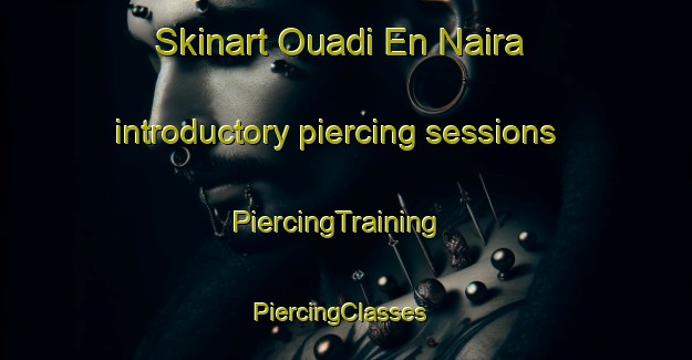 Skinart Ouadi En Naira introductory piercing sessions | PiercingTraining | PiercingClasses | SkinartTraining-Lebanon