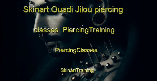 Skinart Ouadi Jilou piercing classes | PiercingTraining | PiercingClasses | SkinartTraining-Lebanon