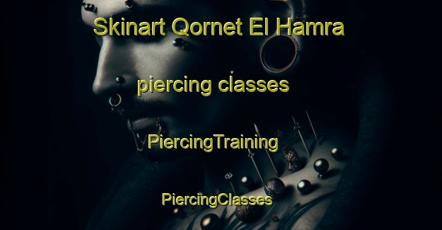 Skinart Qornet El Hamra piercing classes | PiercingTraining | PiercingClasses | SkinartTraining-Lebanon