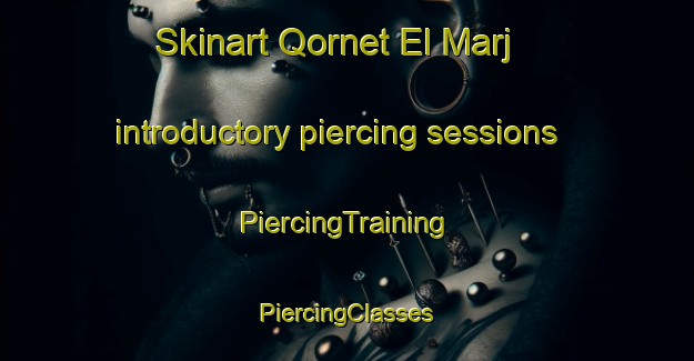 Skinart Qornet El Marj introductory piercing sessions | #PiercingTraining #PiercingClasses #SkinartTraining-Lebanon