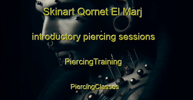 Skinart Qornet El Marj introductory piercing sessions | PiercingTraining | PiercingClasses | SkinartTraining-Lebanon