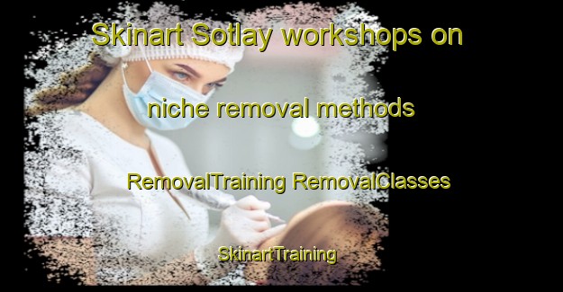 Skinart Sotlay workshops on niche removal methods | #RemovalTraining #RemovalClasses #SkinartTraining-Lebanon