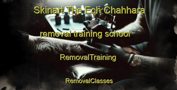 Skinart The Ech Chahhara removal training school | RemovalTraining | RemovalClasses | SkinartTraining-Lebanon
