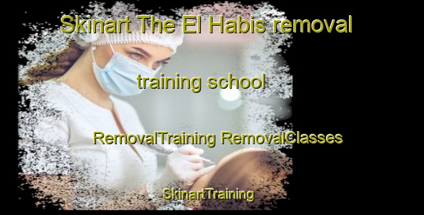 Skinart The El Habis removal training school | #RemovalTraining #RemovalClasses #SkinartTraining-Lebanon