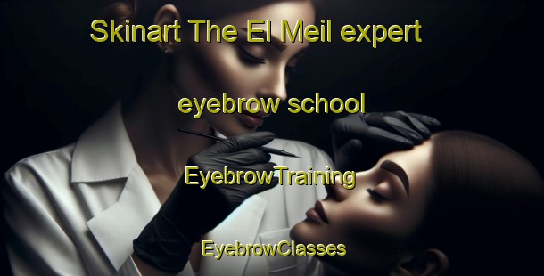 Skinart The El Meil expert eyebrow school | EyebrowTraining | EyebrowClasses | SkinartTraining-Lebanon