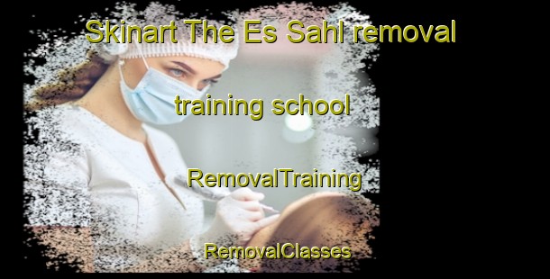 Skinart The Es Sahl removal training school | RemovalTraining | RemovalClasses | SkinartTraining-Lebanon