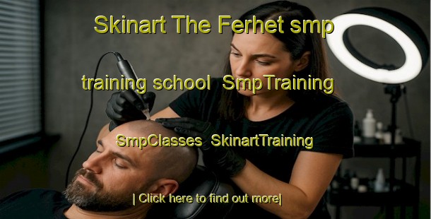 Skinart The Ferhet smp training school | SmpTraining | SmpClasses | SkinartTraining-Lebanon