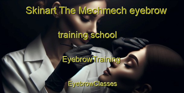 Skinart The Mechmech eyebrow training school | EyebrowTraining | EyebrowClasses | SkinartTraining-Lebanon