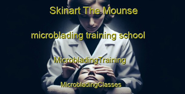 Skinart The Mounse microblading training school | MicrobladingTraining | MicrobladingClasses | SkinartTraining-Lebanon