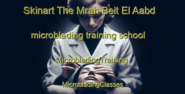 Skinart The Mrah Beit El Aabd microblading training school | #MicrobladingTraining #MicrobladingClasses #SkinartTraining-Lebanon