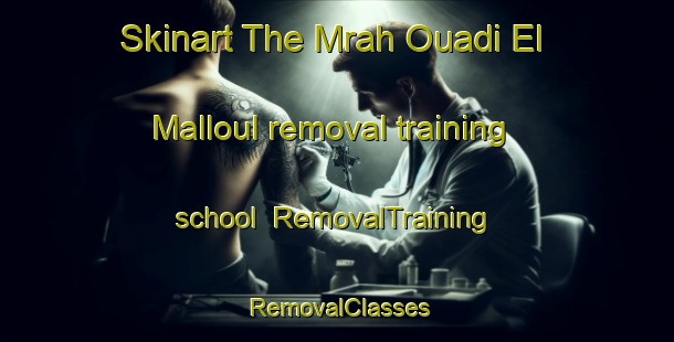 Skinart The Mrah Ouadi El Malloul removal training school | RemovalTraining | RemovalClasses | SkinartTraining-Lebanon