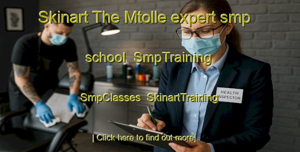 Skinart The Mtolle expert smp school | SmpTraining | SmpClasses | SkinartTraining-Lebanon
