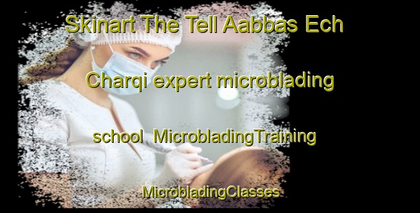 Skinart The Tell Aabbas Ech Charqi expert microblading school | #MicrobladingTraining #MicrobladingClasses #SkinartTraining-Lebanon