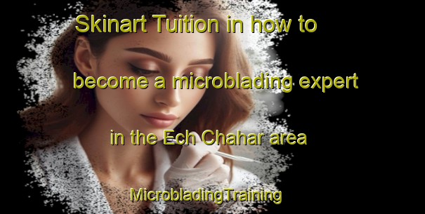 Skinart Tuition in how to become a microblading expert in the Ech Chahar area | MicrobladingTraining | MicrobladingClasses | SkinartTraining-Lebanon
