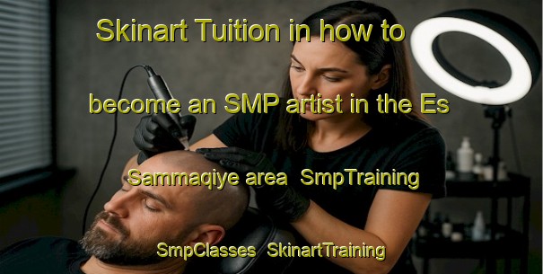 Skinart Tuition in how to become an SMP artist in the Es Sammaqiye area | SmpTraining | SmpClasses | SkinartTraining-Lebanon