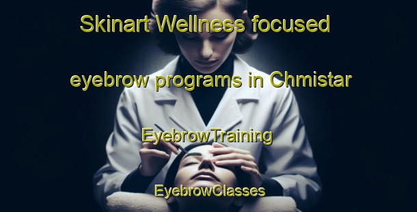 Skinart Wellness-focused eyebrow programs in Chmistar | EyebrowTraining | EyebrowClasses | SkinartTraining-Lebanon