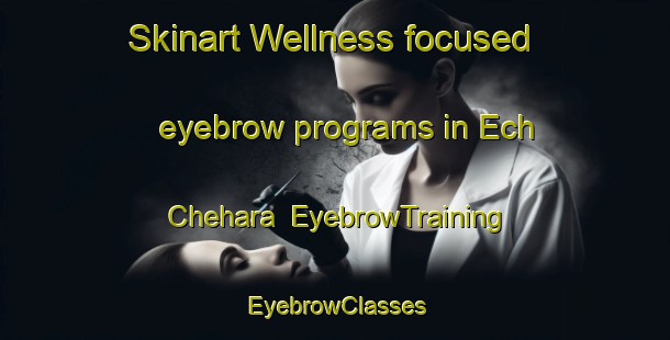 Skinart Wellness-focused eyebrow programs in Ech Chehara | EyebrowTraining | EyebrowClasses | SkinartTraining-Lebanon