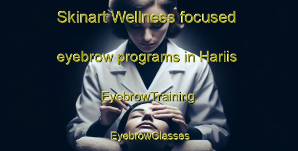 Skinart Wellness-focused eyebrow programs in Hariis | EyebrowTraining | EyebrowClasses | SkinartTraining-Lebanon