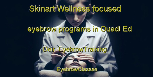 Skinart Wellness-focused eyebrow programs in Ouadi Ed Deir | EyebrowTraining | EyebrowClasses | SkinartTraining-Lebanon
