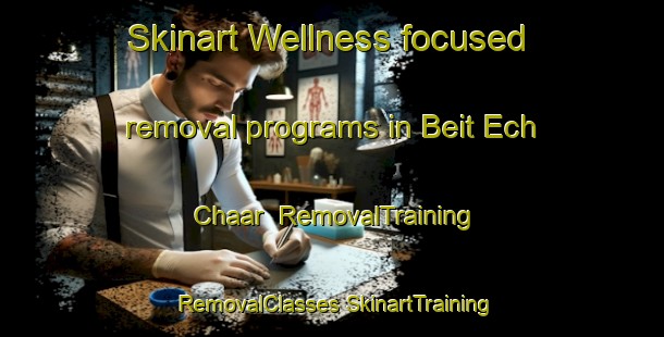 Skinart Wellness-focused removal programs in Beit Ech Chaar | #RemovalTraining #RemovalClasses #SkinartTraining-Lebanon