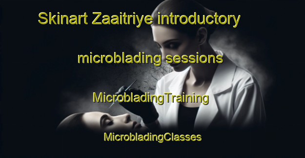 Skinart Zaaitriye introductory microblading sessions | #MicrobladingTraining #MicrobladingClasses #SkinartTraining-Lebanon